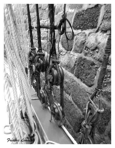 Apartamento La Plage Cap Houses