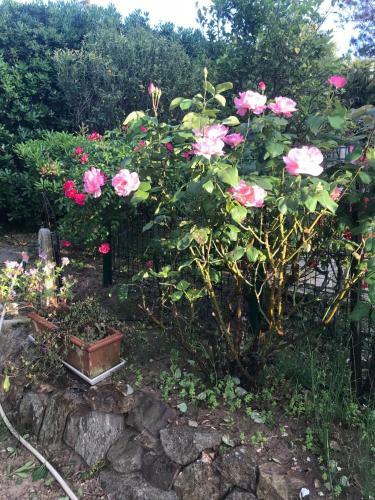 Villa Man� B&B Chambre D'hote