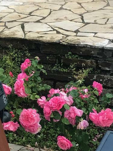 Villa Man� B&B Chambre D'hote