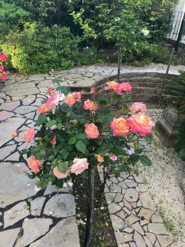 Villa Man� B&B Chambre D'hote