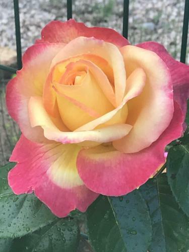 Villa Man� B&B Chambre D'hote