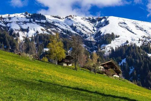 Apartamento Les Saisies-g�te Les Carolos