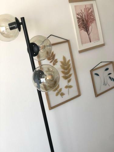 Apartamentos Jacaranda II - Le Jean Bart