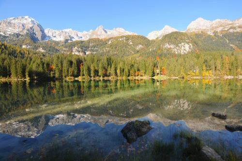 Hotel Chalet Tovel - Mountain Lake