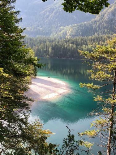 Hotel Chalet Tovel - Mountain Lake