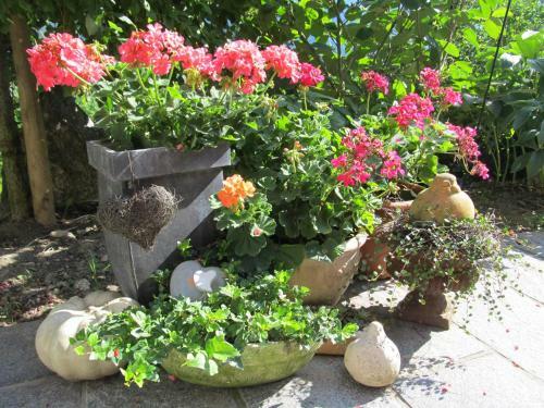 Bed & Breakfast Garni Weghueb
