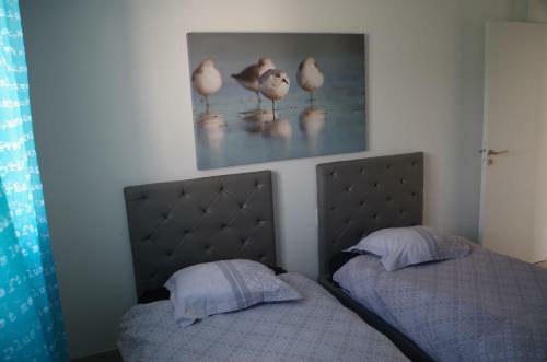 Apartamento Sci Ti Korelo