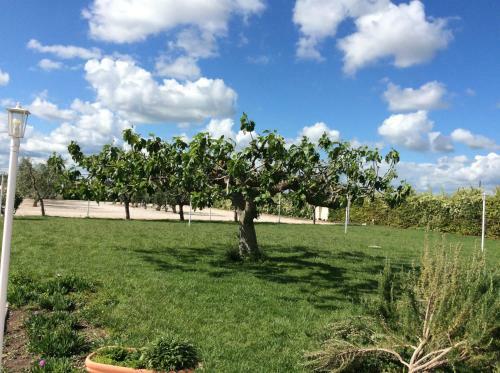 Agroturismo Massaria Agri Resort