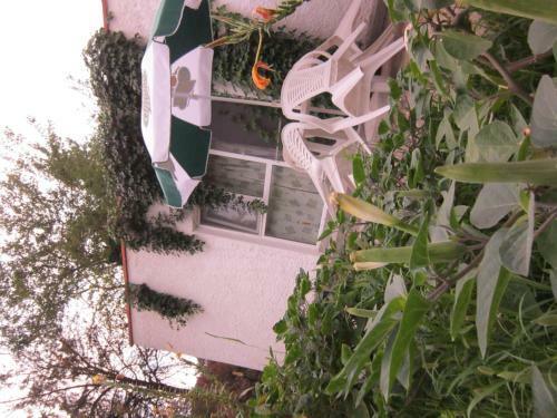 Hostal Pensiunea Ruxandra