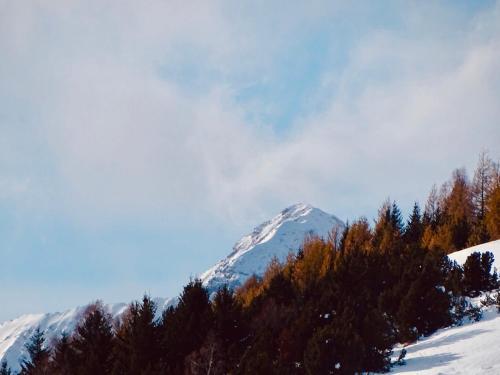 Apartamento Ansloboys Montagne A2