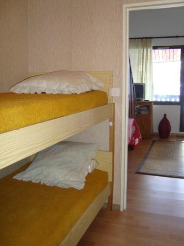 Apartment Face Aux Pistes