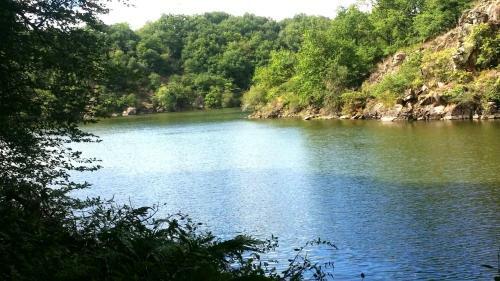 Les Foug�res Du Lac