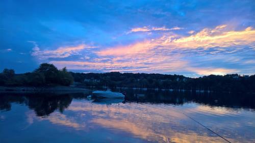 Les Foug�res Du Lac