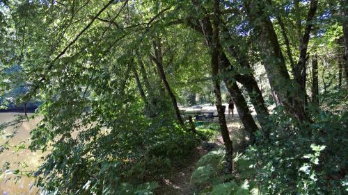 Les Foug�res Du Lac