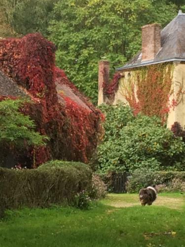 Bed & Breakfast Moulin De Champrond -montmirail -sarthe