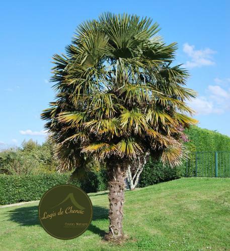 Bed & Breakfast Logis De Chenac