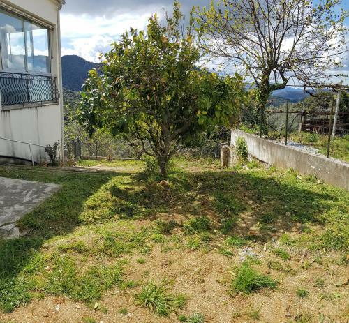 Apartamento Grande Maison De Vacances