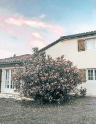 Agroturismo Casa B