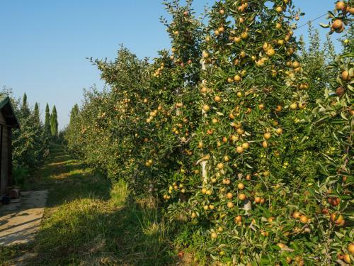 Agroturismo Foresteria Il Giardino Di Fontarronco