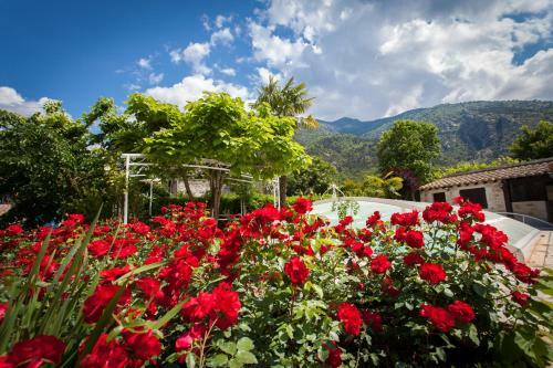 Bed & Breakfast Les Loges Du Jardin D'aymeric