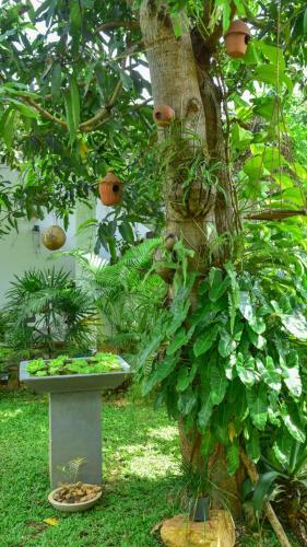 Bed & Breakfast Menara Green Inn