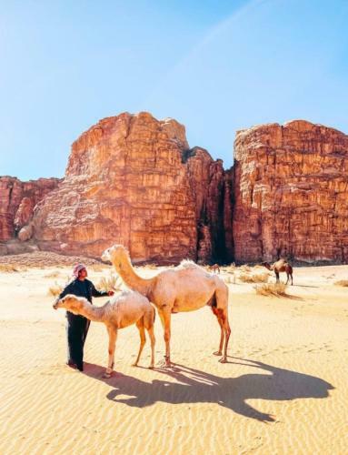 Wadirumtent
