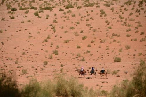 Tours And Bedouin Traditions