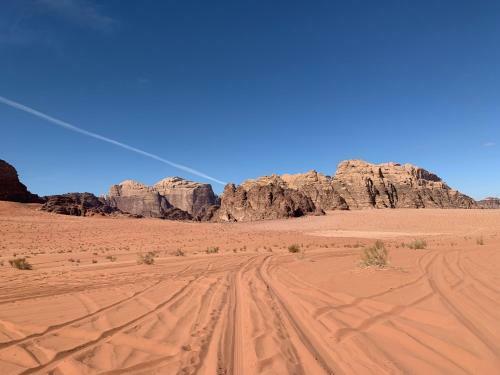 Wadi Rum Desert Eid Camp & Cave & Tours