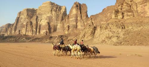 Wadi Rum Desert Eid Camp & Cave & Tours