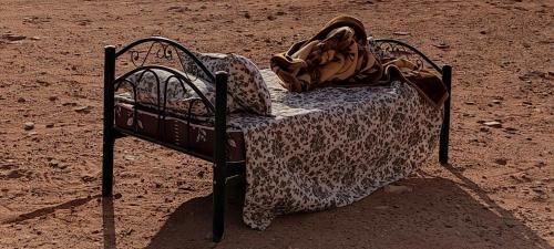 Wadi Rum Desert Eid Camp & Cave & Tours