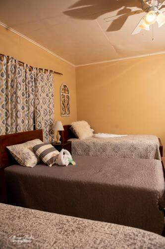 Bed & Breakfast Treasure Beach Inn And Bar