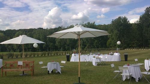 Bed & Breakfast Ch�teau De Mazi�res
