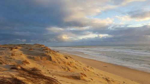 Apartamento Le Lodge Du Cap Ferret