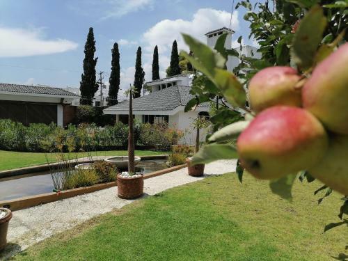 Santo Refugio Heritage Hotel