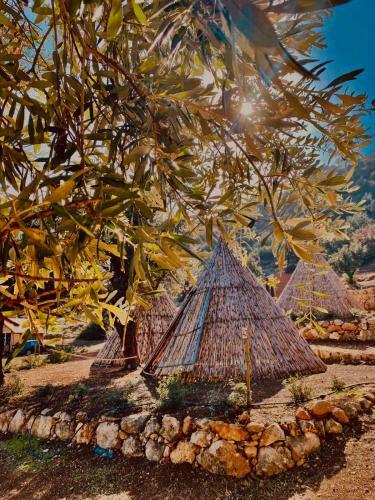 Aphrodite Family Eco Camping