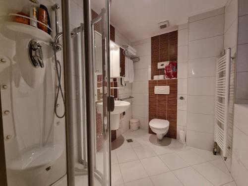 Aparthotel Vu?ko A301