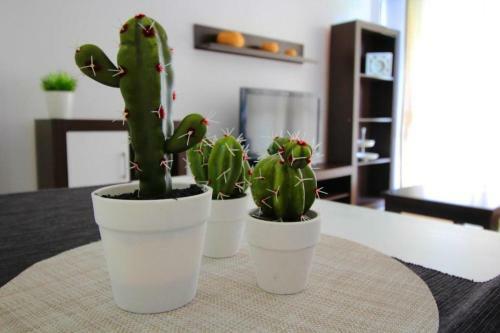 Apartamento Expoholidays-eucalipto 1�1