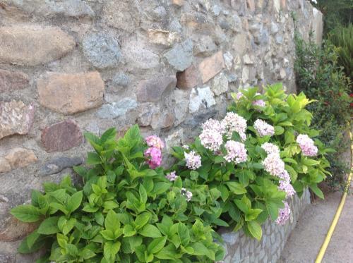 Holiday Home Can Clerc