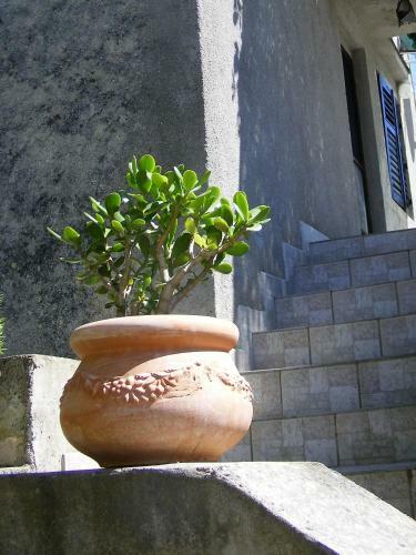 Apartment Lakmartin 2