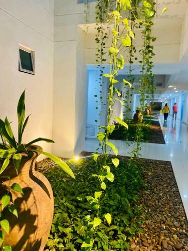 Apartamento Morros Epic Luxury