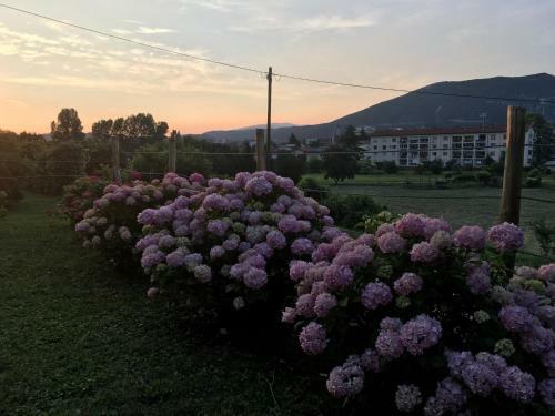 Apartment Nova Gorica - No?itve Falco