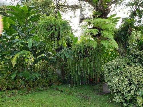 Finca San Antonio In El Valle De Anton
