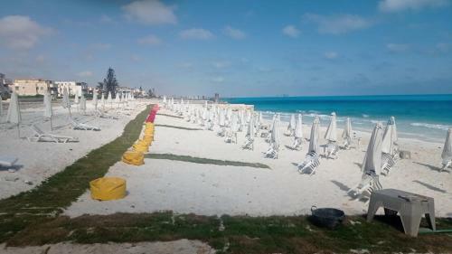 Apartamento 1b Studio 2beds Air Conditioned Basement114 Green Beach