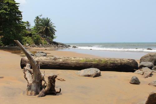 Hostal Pousada Cameroun