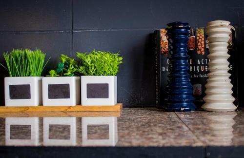 Appartement Cosy Centre/ Hygge Apartment Downtown