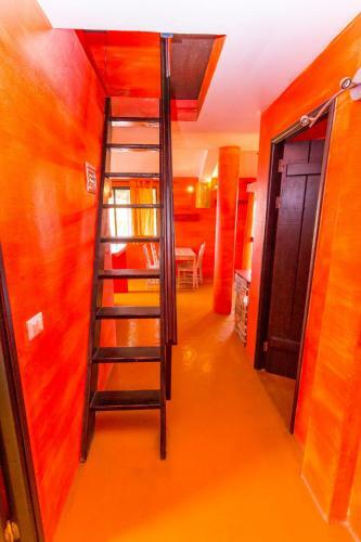 Bed & Breakfast Surfactivity Guest House