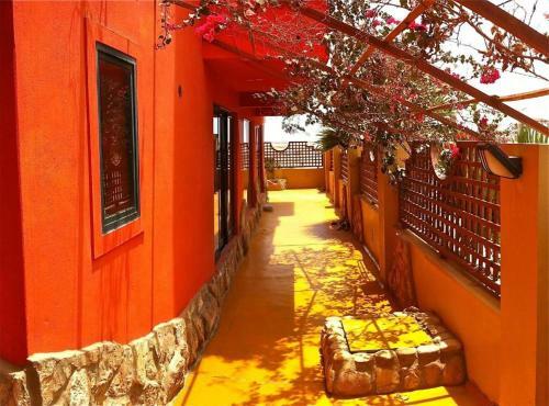 Bed & Breakfast Surfactivity Guest House
