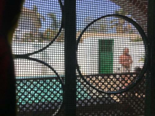 Bed & Breakfast Anns Guesthouse Bakaugambia