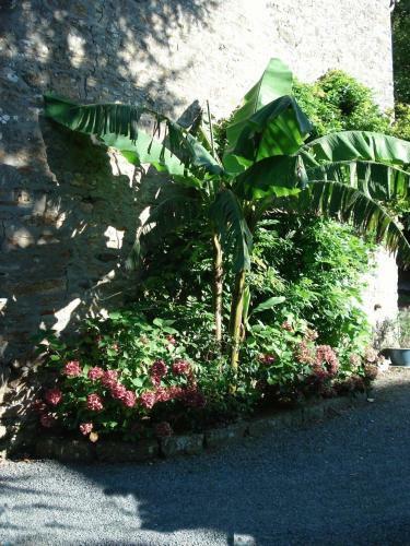 Bed & Breakfast Le Clos Des Tilleuls