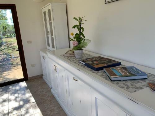 Bed & Breakfast Tenuta Monaci La Murra